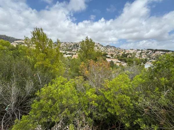 Terreno en Cala Advocat - Baladrar