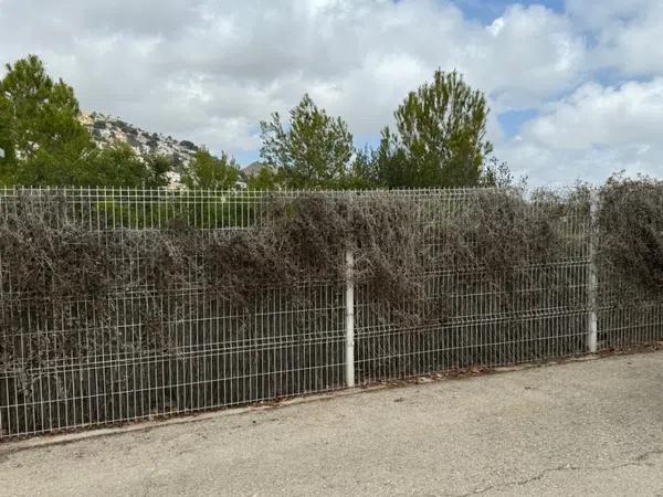 Terreno en Cala Advocat - Baladrar