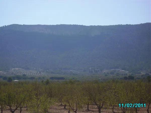 Terreno en Partida de Canya, Polígono 9, parcela 148 s/n