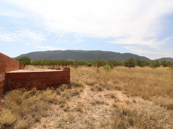 Terreno en Partida de Canya, Polígono 9, parcela 148 s/n