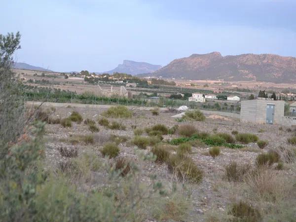 Terreno en carretera De Salinas a Sax s/n