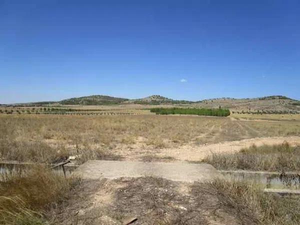 Terreno en Partida del Carabasi