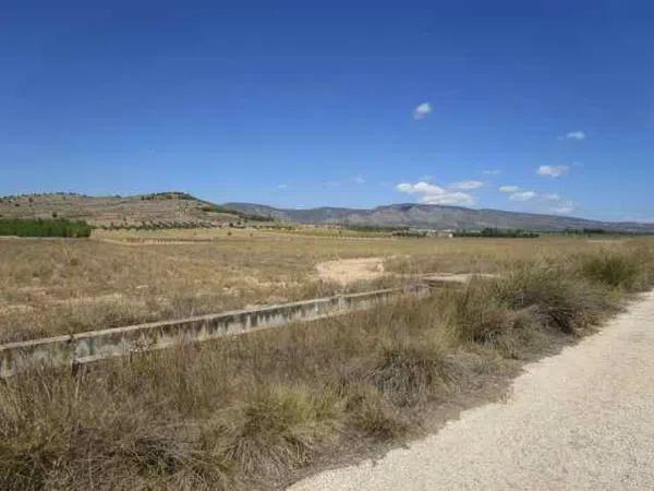 Terreno en Partida del Carabasi