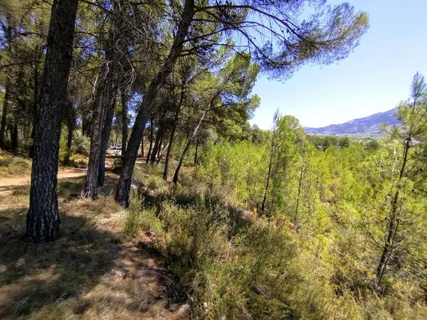 Terreno en Partida Casilla, km 5