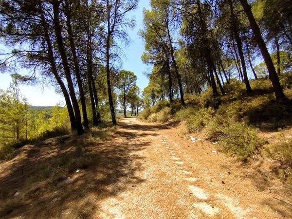 Terreno en Partida Casilla, km 5