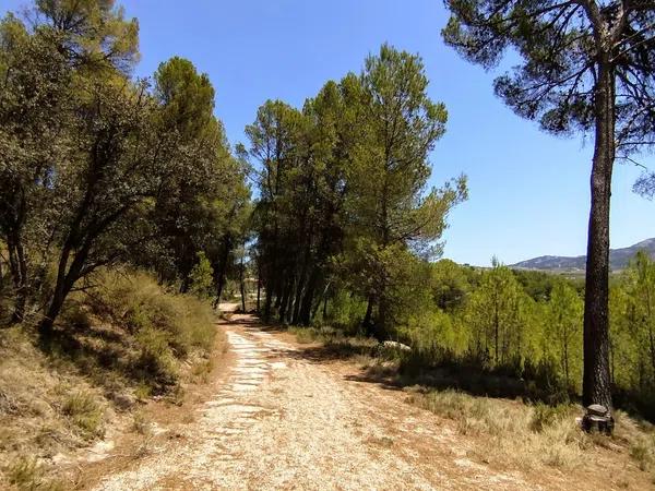 Terreno en Partida Casilla, km 5