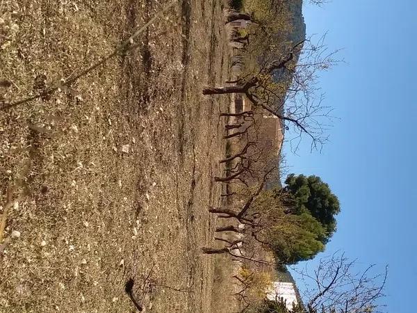 Terreno en calle de la Vila Joiosa, 1