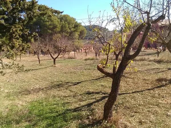 Terreno en calle de la Vila Joiosa, 1