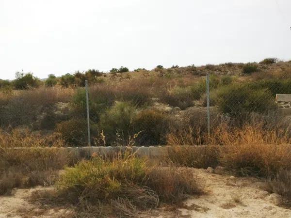 Terreno en camino Peña de las Águilas, km 1