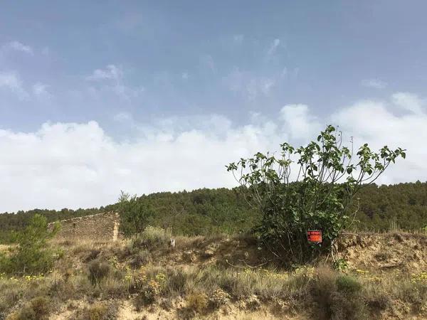 Terreno en Cv-782, 4 PolgonoParcela