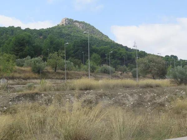 Terreno en Polígon Figueral 1 Uo6, 9