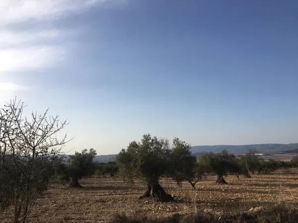 Terreno en Carret.de biar a campo de mirra