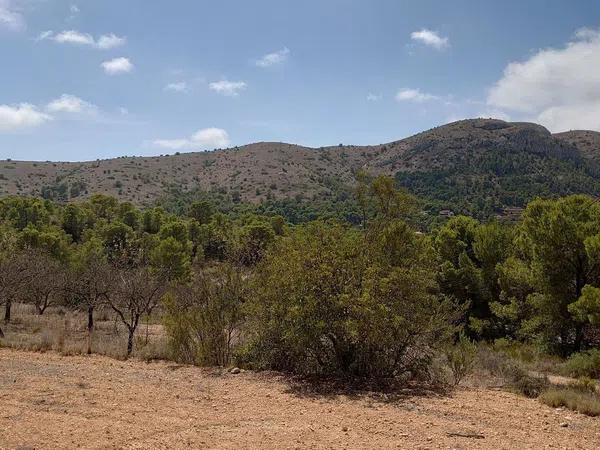 Terreno en Partida Tapiada Marraix, 30