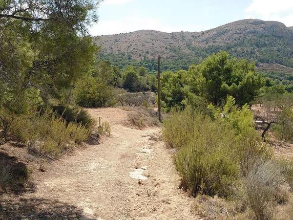 Terreno en Partida Tapiada Marraix, 30