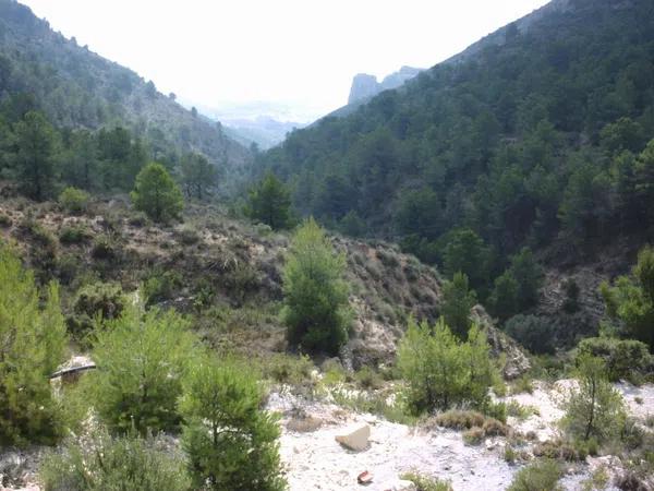 Terreno en avenida puerto de la Carrasqueta, 25