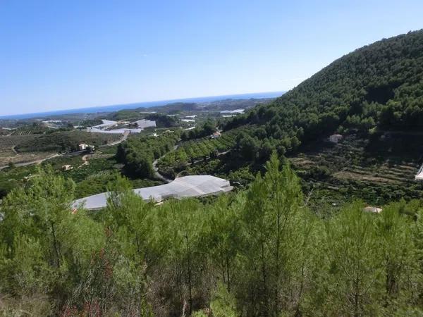 Terreno en calle del Fondo, km 5