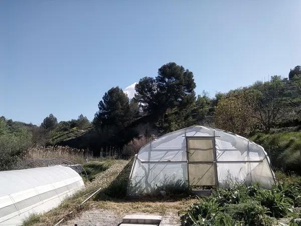 Terreno en carretera Penella, km 1