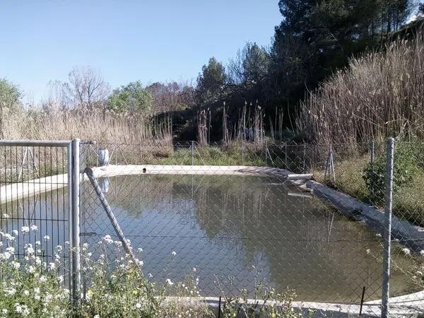 Terreno en carretera Penella, km 1