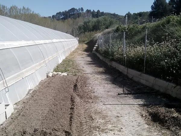 Terreno en carretera Penella, km 1