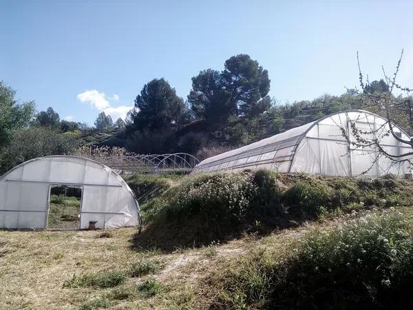 Terreno en carretera Penella, km 1