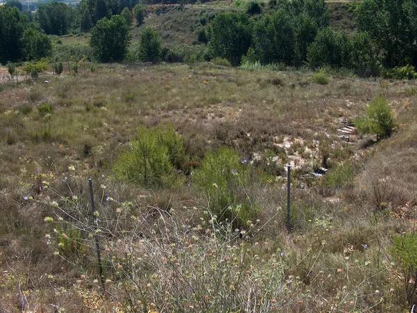 Terreno en camino de la Lloma, 4