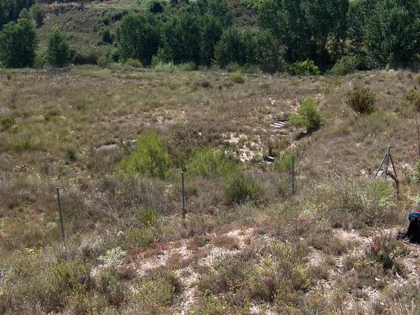 Terreno en camino de la Lloma, 4