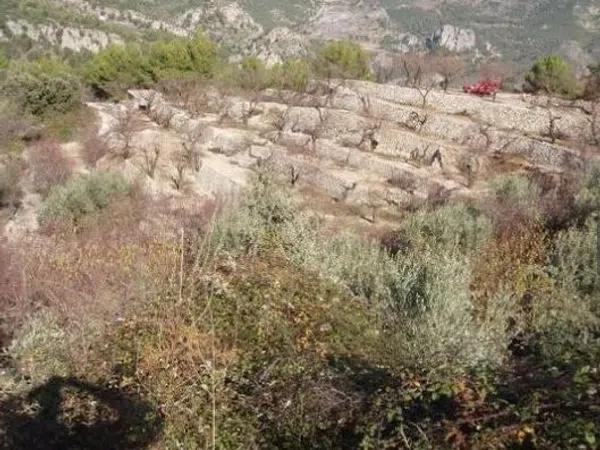 Terreno en calle Sant Antoni, 11