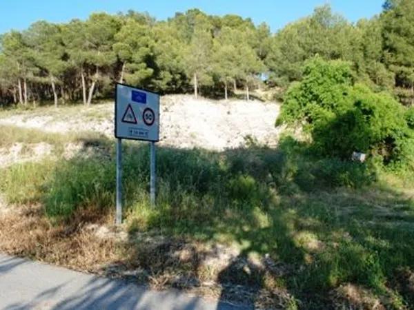 Terreno en camino de la fontasanta