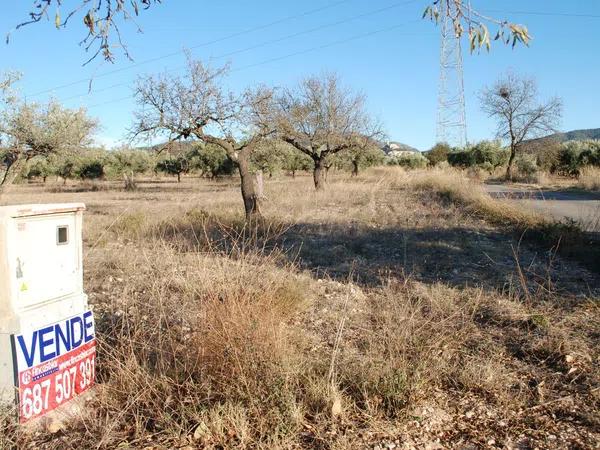 Terreno en zona la lloma