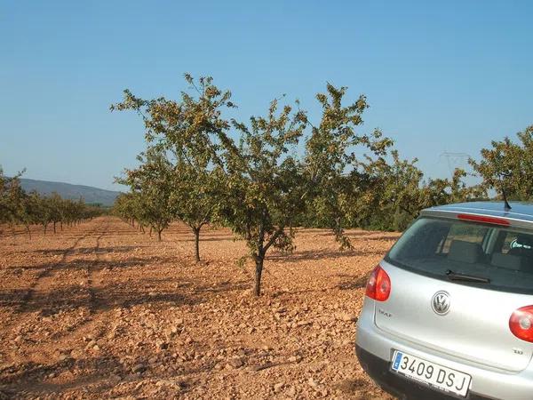 Terreno en la foia de biar