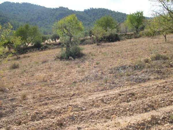 Terreno en carr.biar-bañeres km. 5,5 s/n