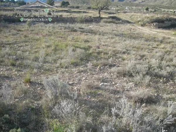 Terreno en Hondón de los Frailes