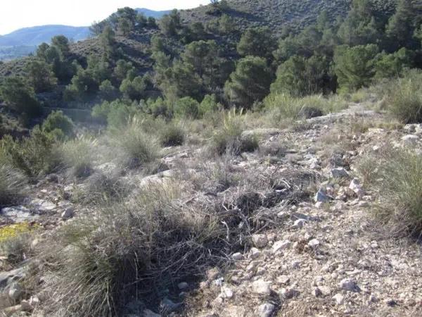 Terreno en Hondón de las Nieves