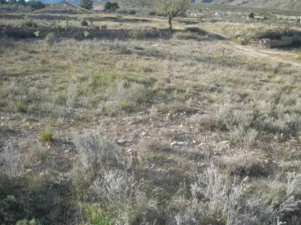 Terreno en Hondón de las Nieves