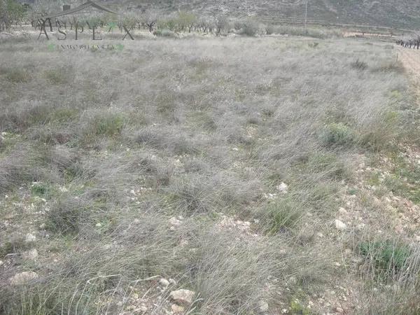 Terreno en Hondón de las Nieves