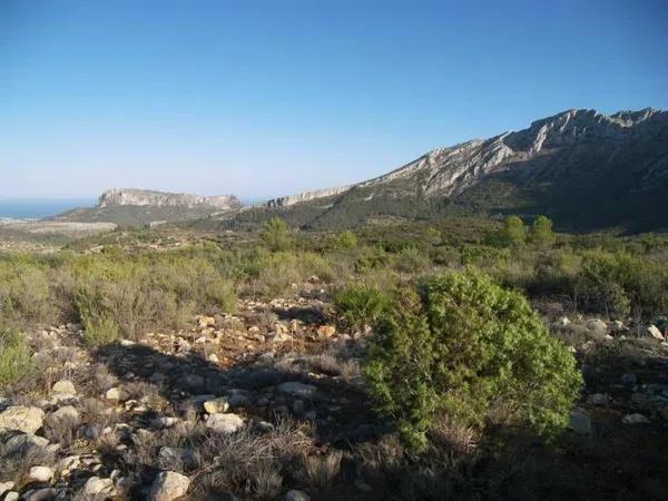 Terreno en Jalón