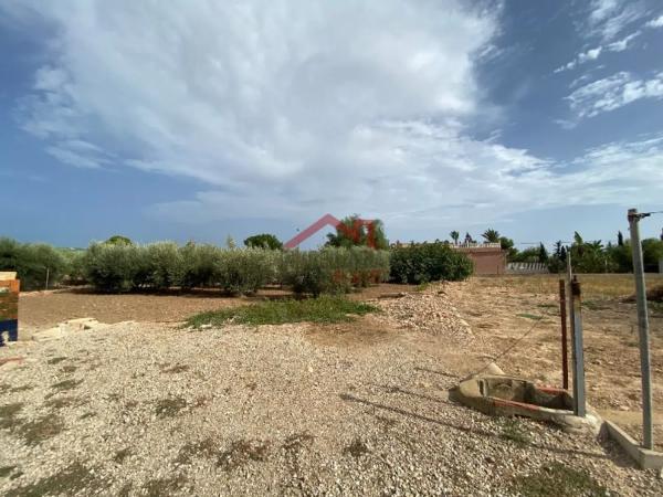 Casa independiente en carretera de Torrellano al Aeropuerto