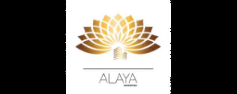 Alaya Properties