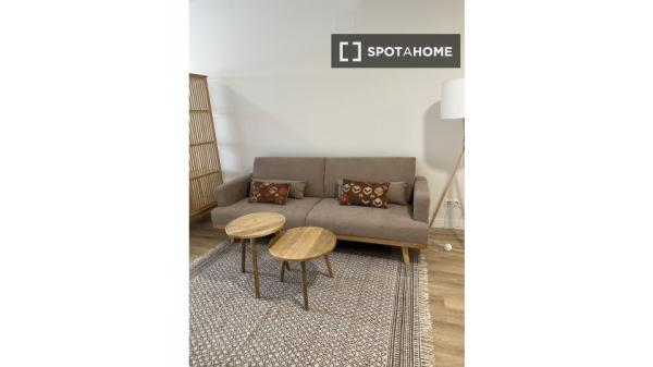 Apartamento entero de 1 dormitorio en San Sebastián de los Reyes