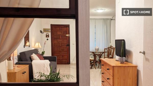 Apartamento entero de 1 dormitorio en Lomas de Polo-Pinomar