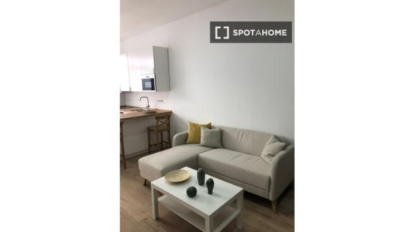 Apartamento entero de 1 habitaciones en Madrid