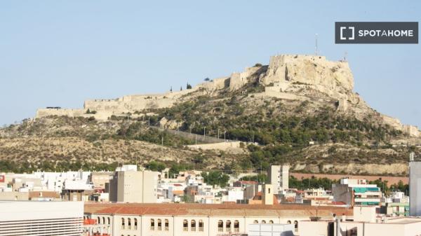 Piso entero de 4 habitaciones en Alacant