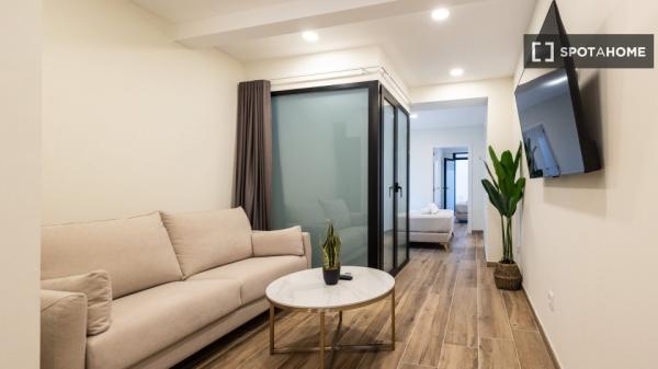 Apartamento entero de 1 dormitorio en València