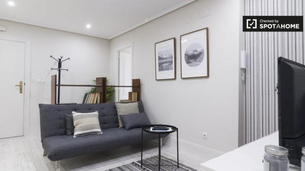 Habitación para alquilar en un gran apartamento de 5 dormitorios en Indautxu