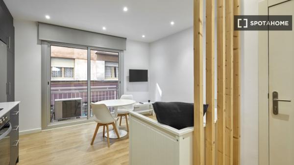 Apartamento entero de 1 dormitorio en Barcelona