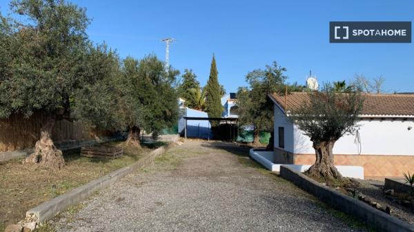 Apartamento entero de 2 dormitorios en Alhaurín el Grande