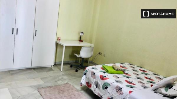 Decorated room in shared apartment in Casco Antiguo, Seville