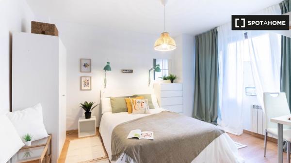 Chambre dans un appartement partagé au coeur de Bilbao