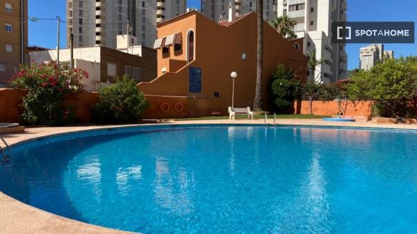 Apartamento entero de 2 dormitorios en Benidorm