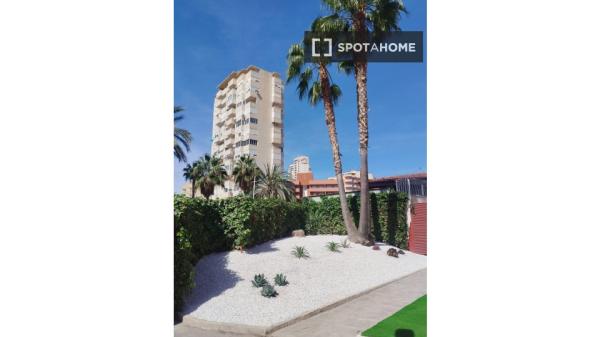 Apartamento entero de 2 dormitorios en Benidorm